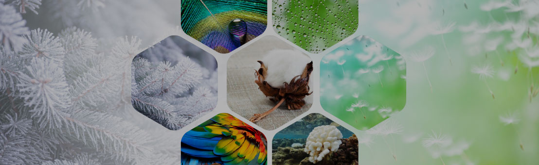 Tekstil Kimyasalları